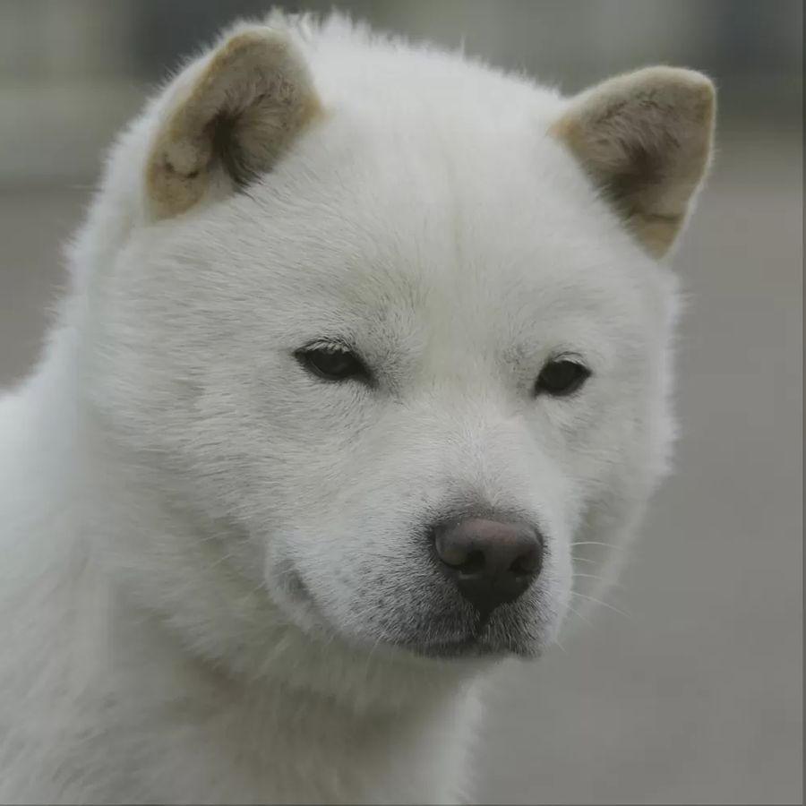 Hokkaido