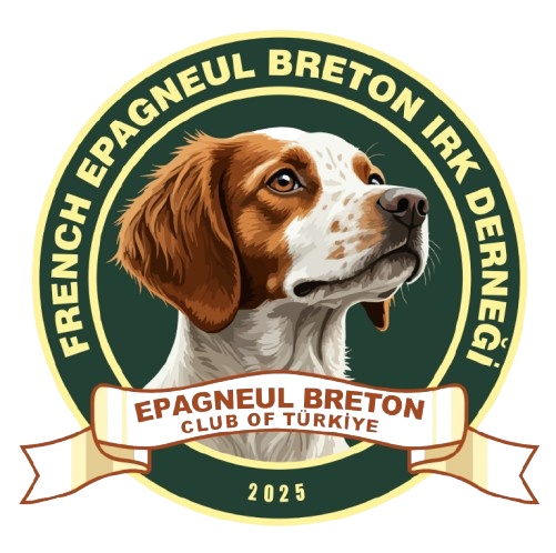 French Epagneul Breton Irk Derneği Türkiye
