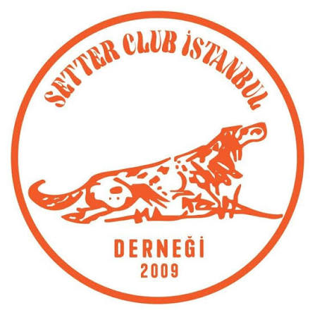 SETTER KULÜB İSTANBUL DERNEĞİ