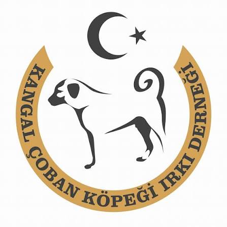 KANGAL ÇOBAN KÖPEĞİ IRKI DERNEĞİ