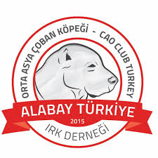 ORTA ASYA ÇOBAN KÖPEĞİ IRK DERNEĞİ