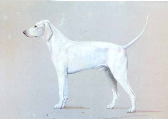 Billy