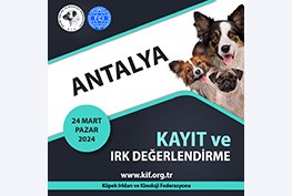 Antalya Kayıt ve Irk Değerlendirme Etkinliği 2024