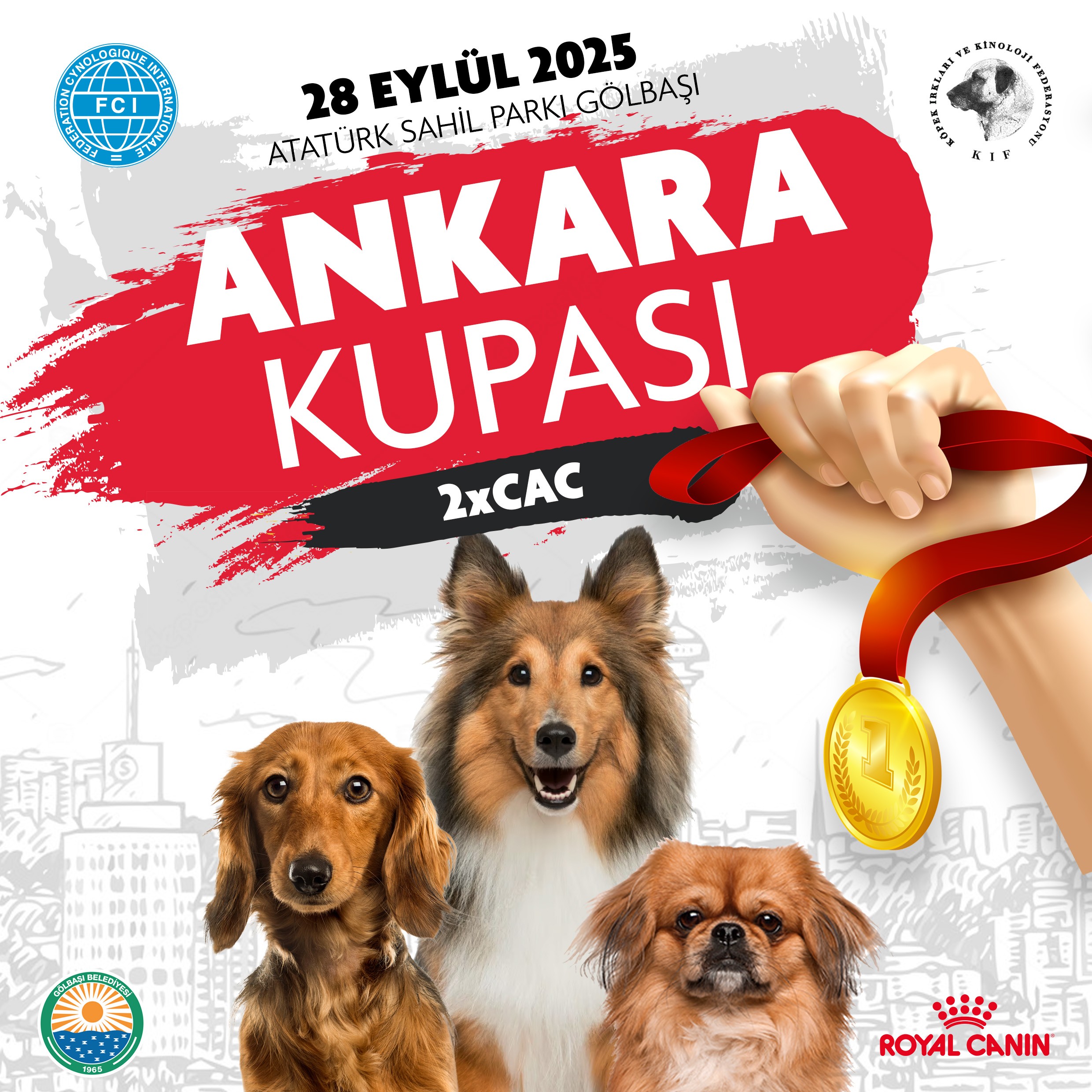 Ankara Kupası 2025