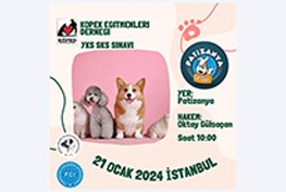 İstanbul YKS SKS Etkinliği