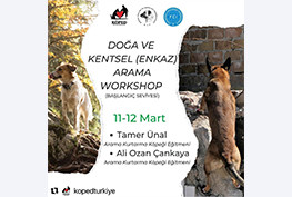 DOĞA VE KENTSEL (ENKAZ) ARAMA WORKSHOP