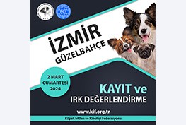 İzmir Güzelbahçe Kayıt ve Irk Değerlendirme Etkinliği 2024