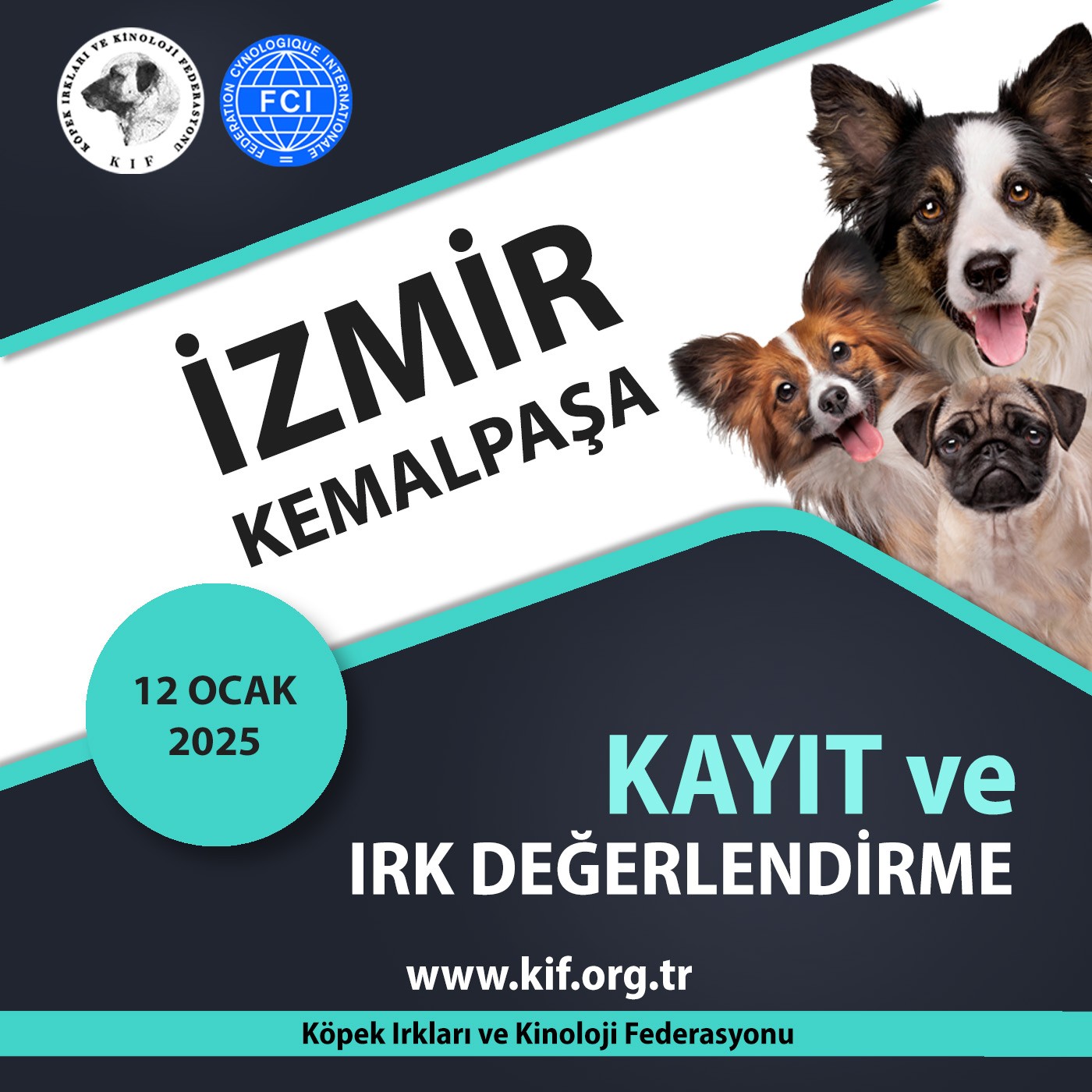 İzmir Kemalpaşa Kayıt ve Irk Değerlendirme 2025