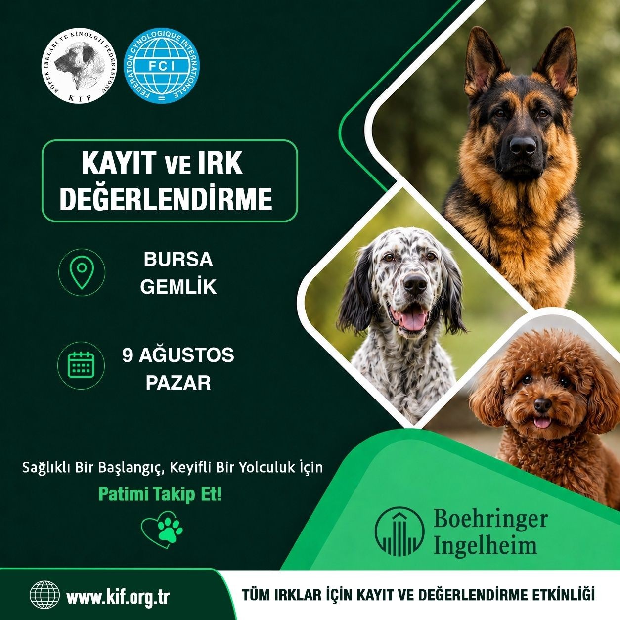 Bursa Gemlik Kayıt ve Değerlendirme Etkinliği 2026