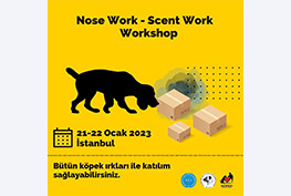NOSE WORK - SCENT WORK - WORKSHOP