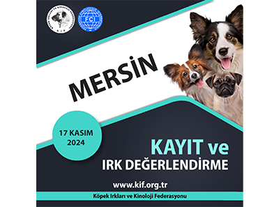 Mersin Kayıt ve Irk Değerlendirme 2024