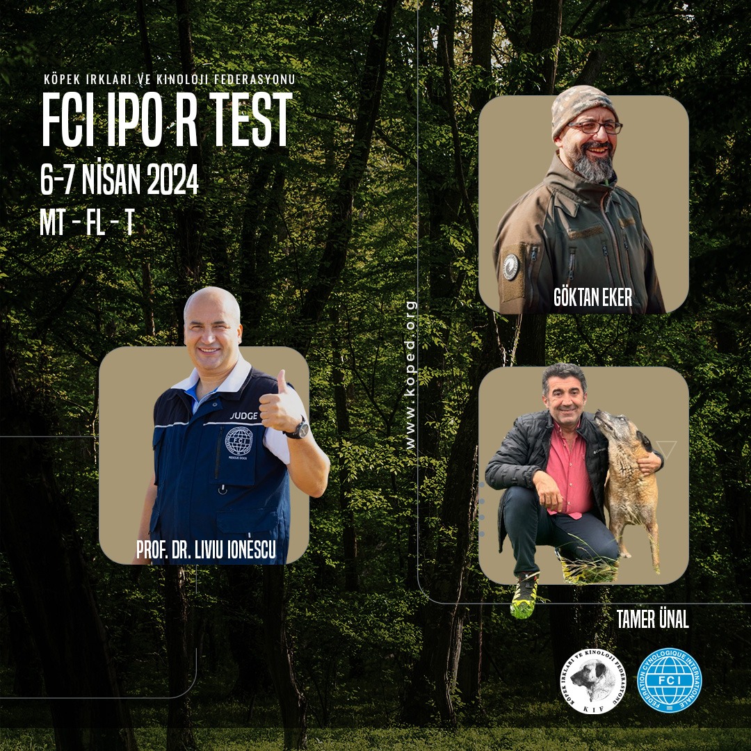 FCI SAR Dogs Test