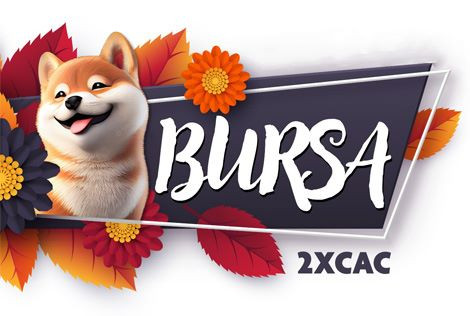 Bursa 2*CAC