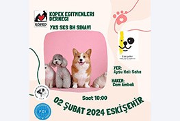 Eskişehir YKS-SKS-BH Sınavları