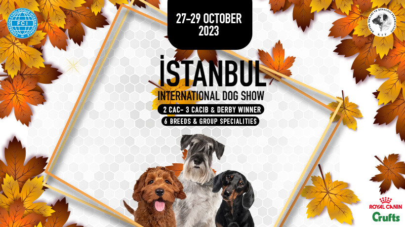 Istanbul Dog Show 2023