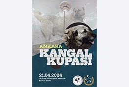 Ankara Kangal Kupası 2024