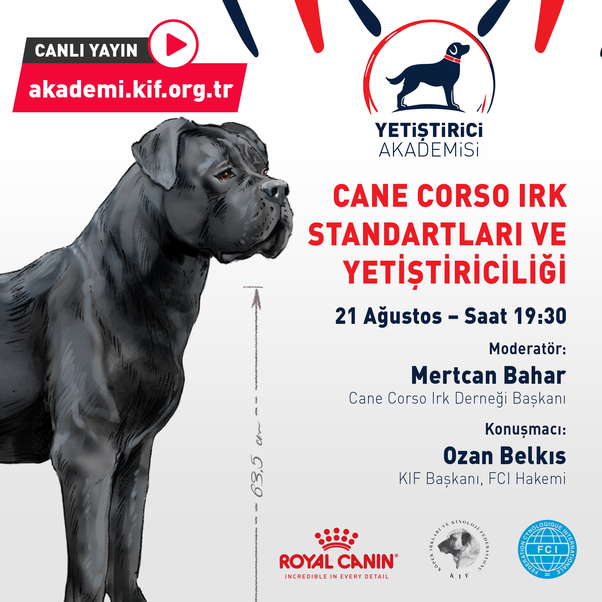Cane Corso Irk Standartları ve Yetiştiriciliği Online Semineri