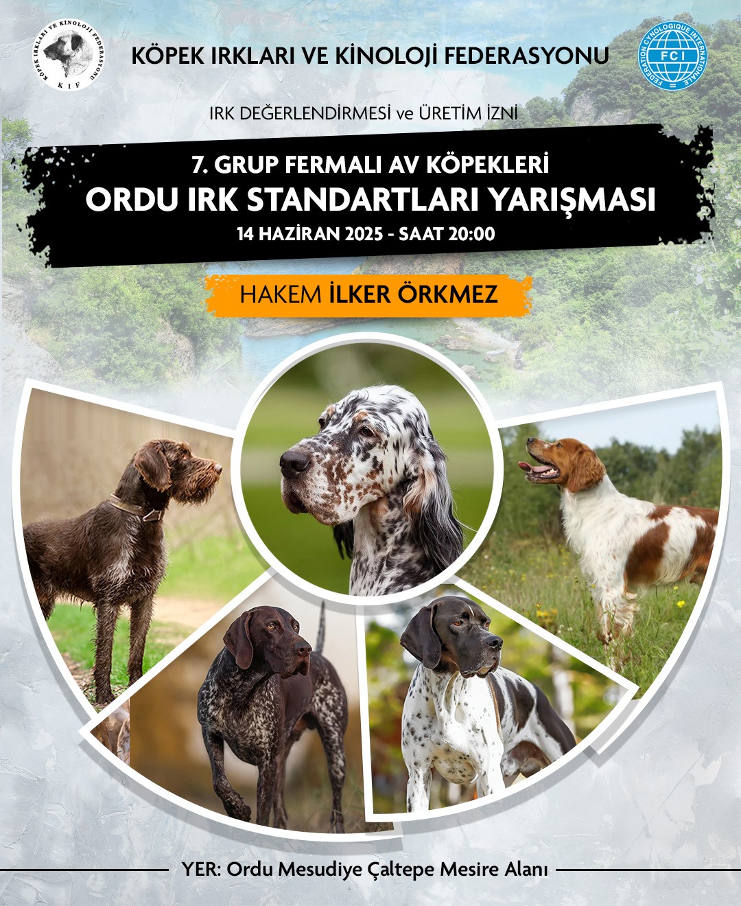 Ordu 7.Grup Irk Standartları Yarışması