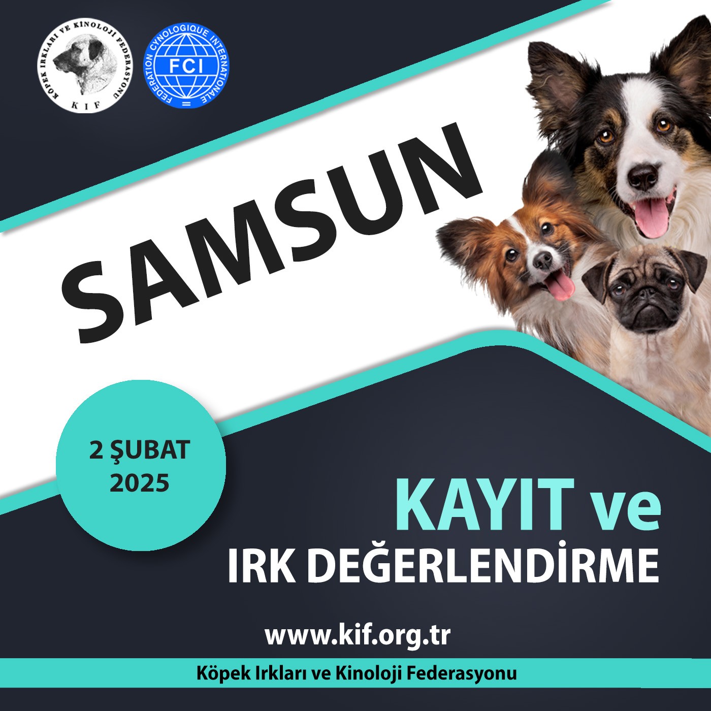Samsun Kayıt ve Irk Değerlendirme 2025
