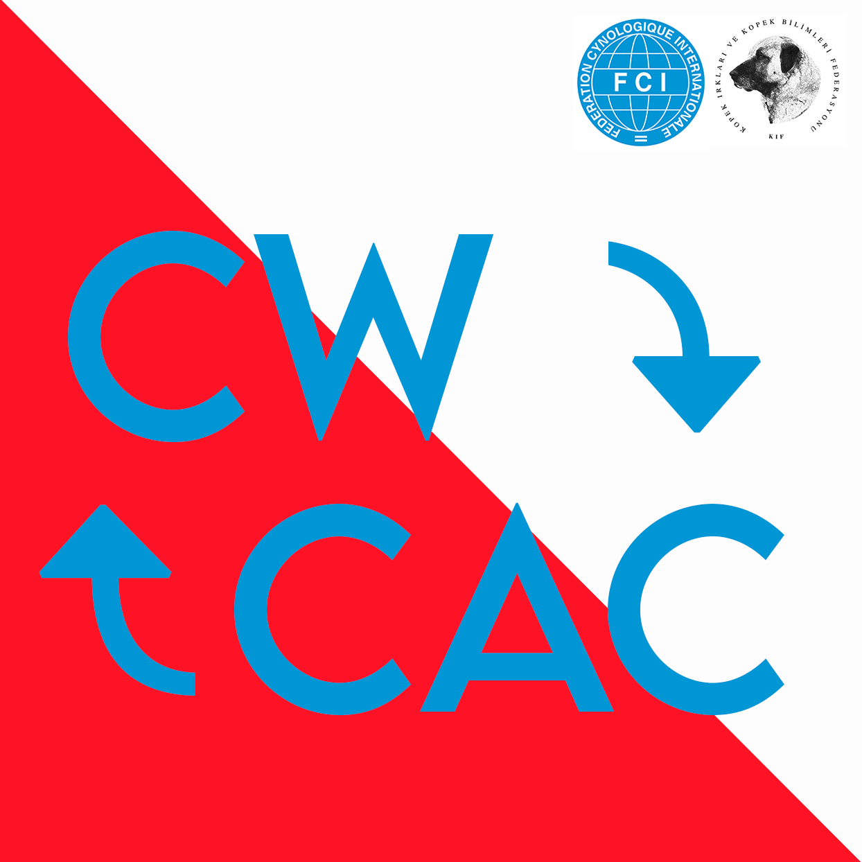 Kulüplerin verecekleri ünvanların CAC yerine kullanılması