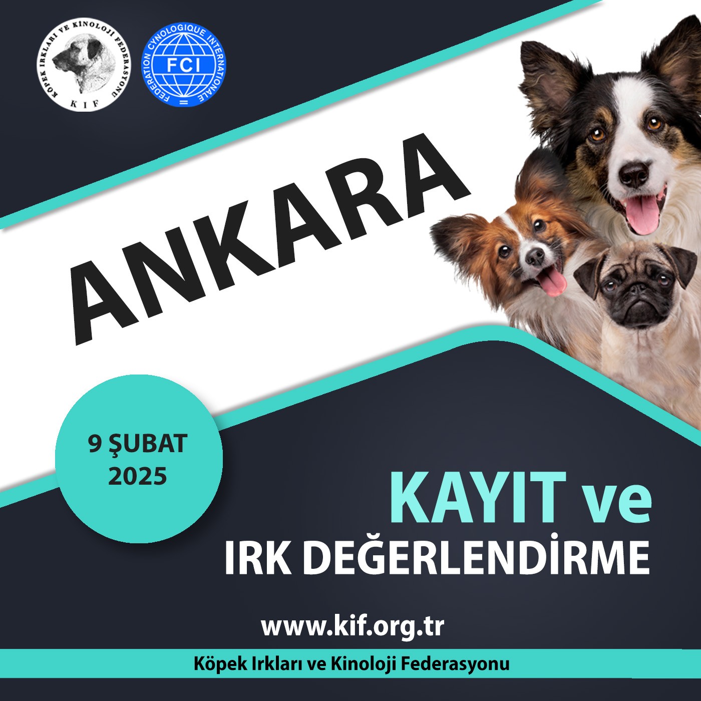 Ankara Kayıt ve Irk Değerlendirme 2025