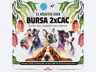 Bursa Kupası 2024 Ulusal Irk Standartları Sergisi