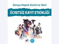 Dünya Köpek Gününe Özel Ücretsiz Kayıt Etkinliği