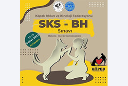 KÖPED SKS - BH Sınavı Şubat 2023