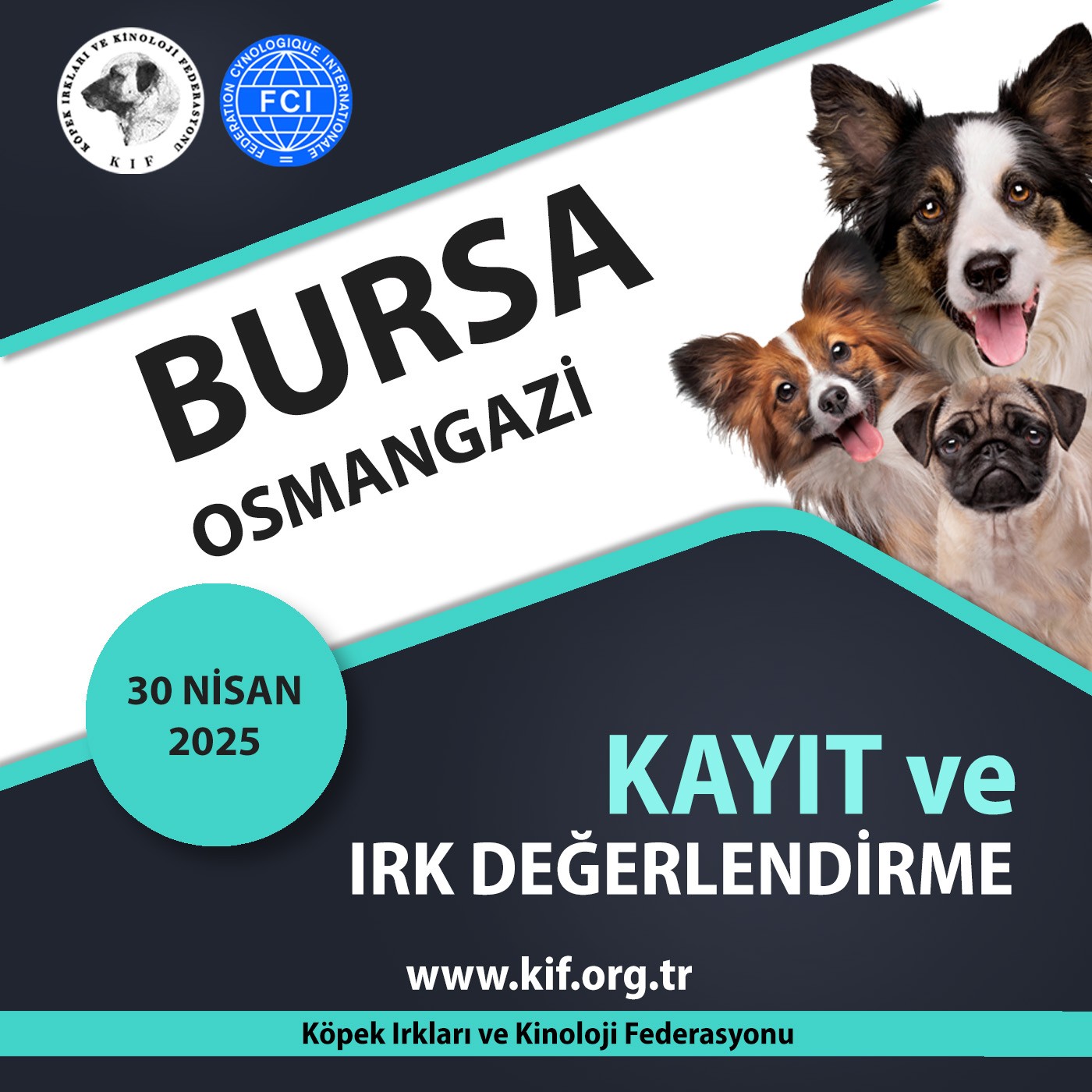 Bursa Kayıt ve Irk Değerlendirme Etkinliği 2025