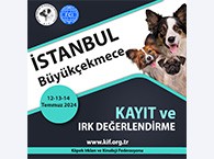 İstanbul Büyükçekmece Kayıt ve Irk Değerlendirme Etkinliği 2024