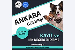 Ankara Gölbaşı Kayıt ve Irk Değerlendirme Etkinliği
