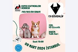 KÖPED YKS/SKS Sınavı