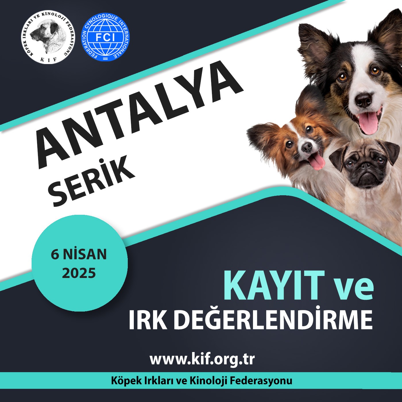 Antalya Serik Kayıt ve Irk Değerlendirme Etkinliği 2025