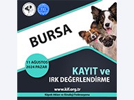 Bursa Kayıt ve Irk Değerlendirme Etkinliği 2024