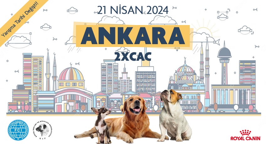 Ankara Kupası 2024