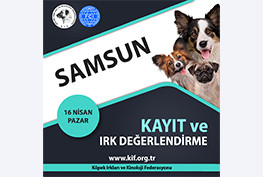 Samsun Kayıt ve Irk Değerlendirme Etkinliği 2023