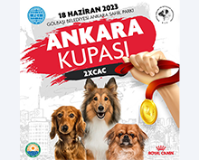 Ankara Kupası 2*CAC