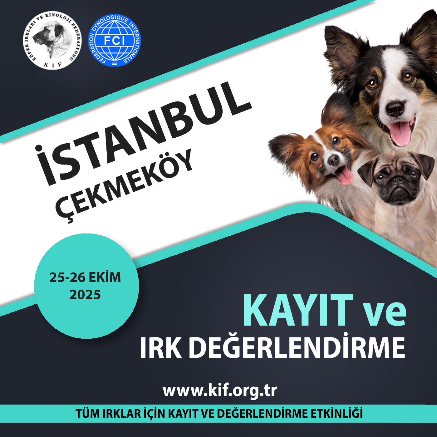 İstanbul Çekmeköy Kayıt ve Irk Değerlendirme Etkinliği 2025