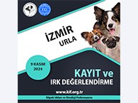 İzmir Urla Kayıt ve Irk Değerlendirme 2024