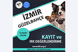 İzmir Kayıt ve Irk Değerlendirme Etkinliği 2023