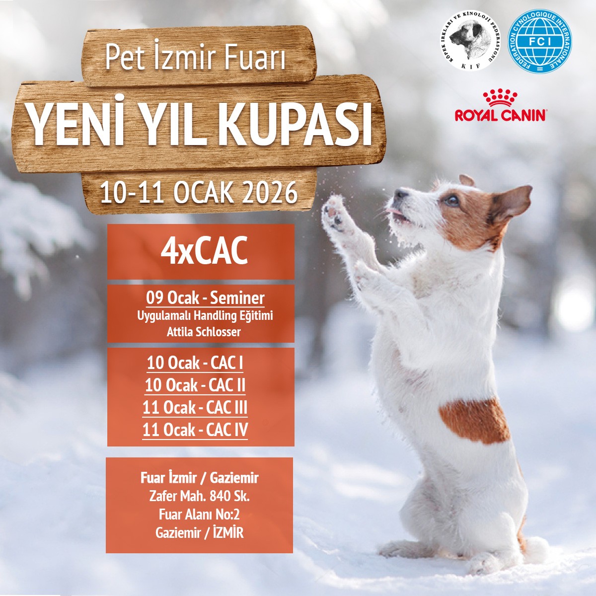 İzmir Yeni Yıl Kupası 2026