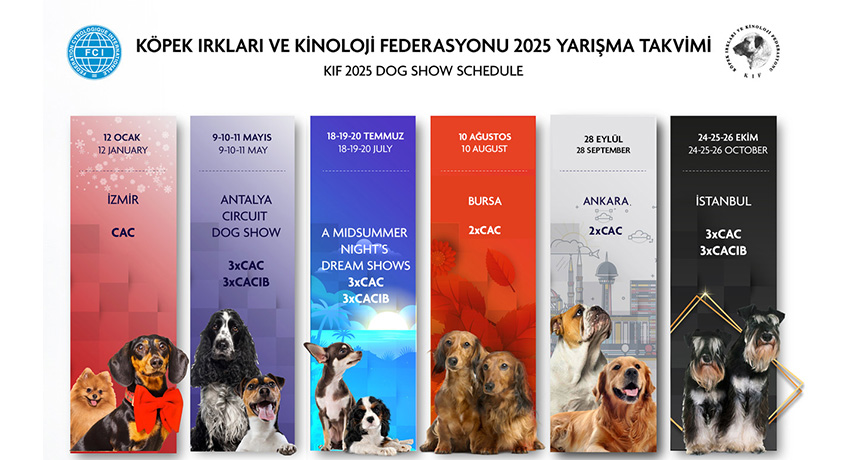 2025 Yılı Yarışma Takvimi
