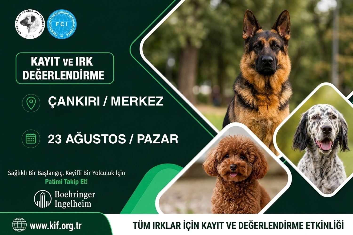 Çankırı Kayıt ve Değerlendirme Etkinliği