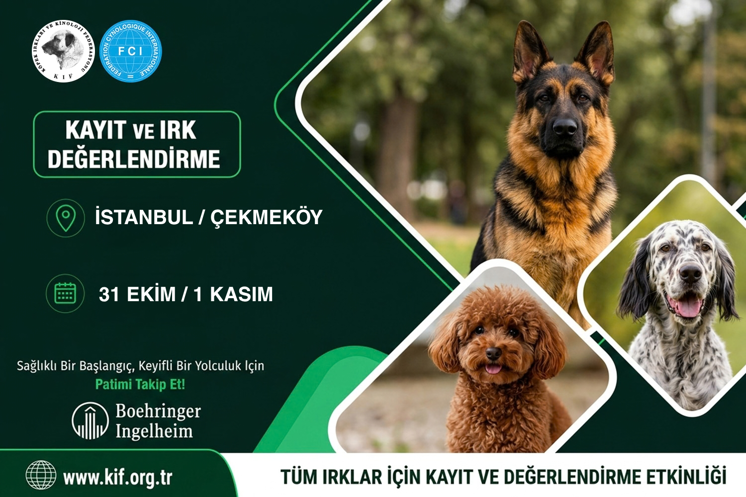İstanbul Çekmeköy Kayıt ve Irk Değerlendirme Etkinliği 2026